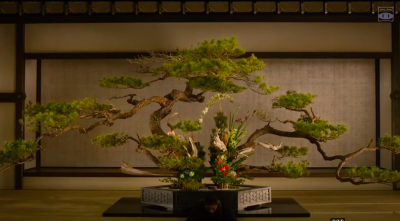 花战剧照的剧照