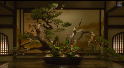 花战剧照的剧照