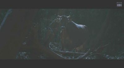 美丽之星剧照的剧照