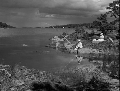 野草莓剧照的剧照