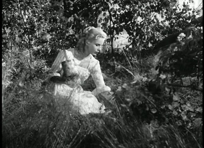 野草莓剧照的剧照