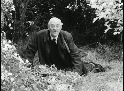 野草莓剧照的剧照