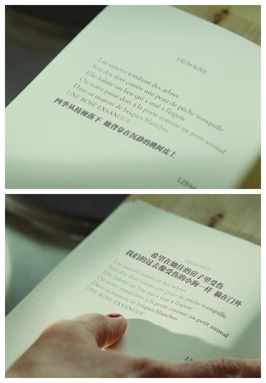 双面劳伦斯剧照的剧照