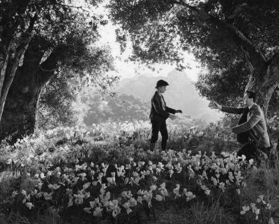 青山翠谷剧照的剧照