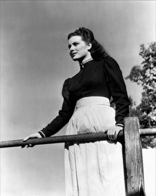 青山翠谷剧照的剧照