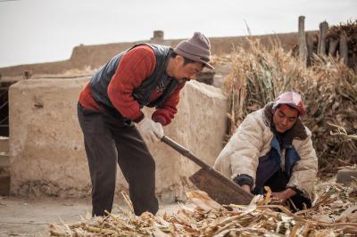 一个勺子剧照的剧照