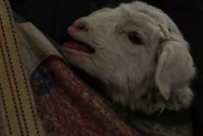 一个勺子剧照的剧照