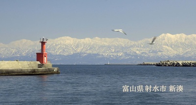 人生的约定剧照的剧照