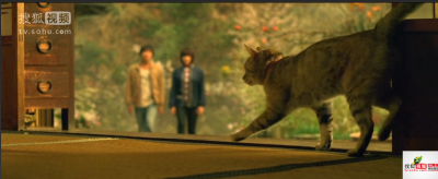 我的机器人女友剧照的剧照