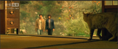 我的机器人女友剧照的剧照