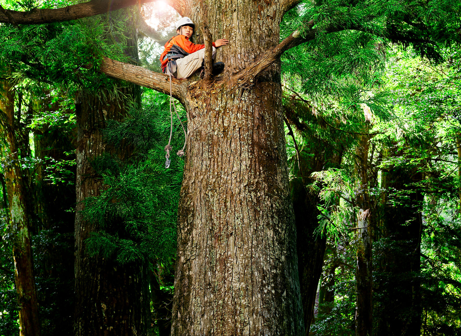 哪啊哪啊神去村剧照的剧照