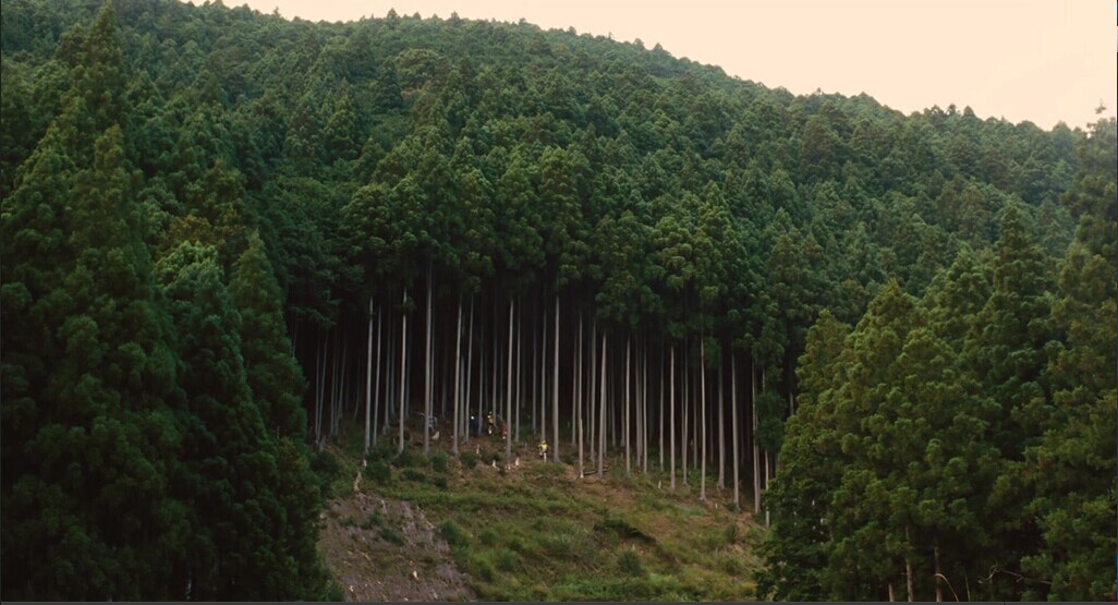 哪啊哪啊神去村剧照的剧照