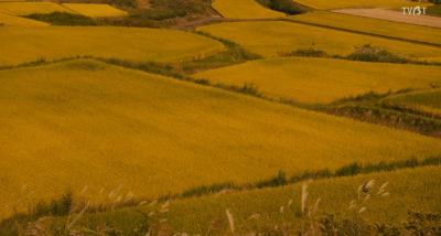 殿下，这是利息！剧照的剧照