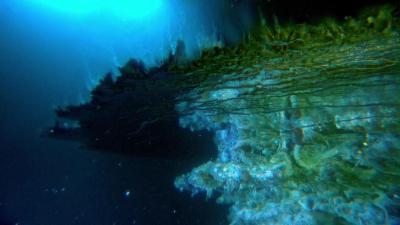 深海挑战剧照的剧照