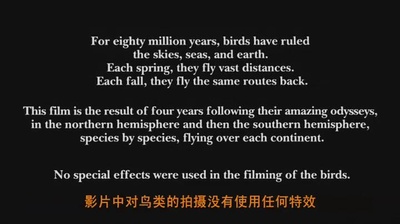 迁徙的鸟剧照的剧照