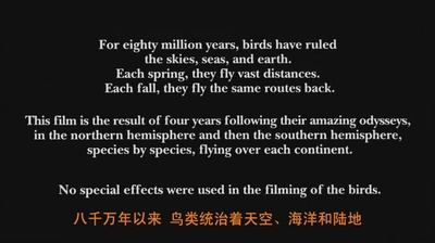 迁徙的鸟剧照的剧照