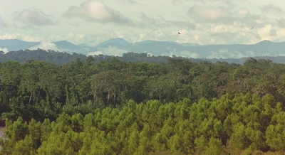 迁徙的鸟剧照的剧照