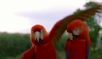 迁徙的鸟剧照的剧照