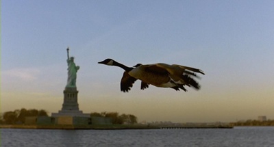 迁徙的鸟剧照的剧照