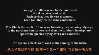 迁徙的鸟剧照的剧照