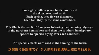 迁徙的鸟剧照的剧照