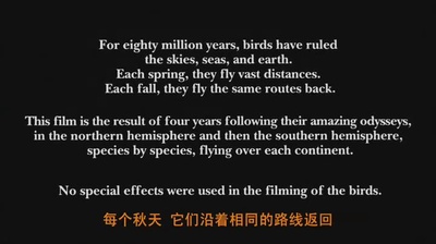 迁徙的鸟剧照的剧照