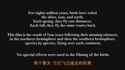 迁徙的鸟剧照的剧照