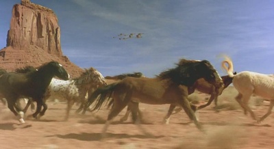 迁徙的鸟剧照的剧照