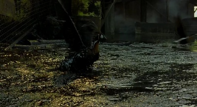 迁徙的鸟剧照的剧照