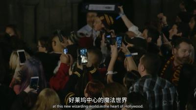 神奇动物与J·K·罗琳的魔法世界剧照的剧照