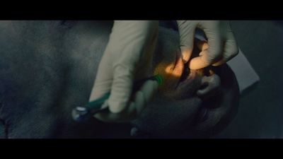 丧尸出笼：血脉剧照的剧照