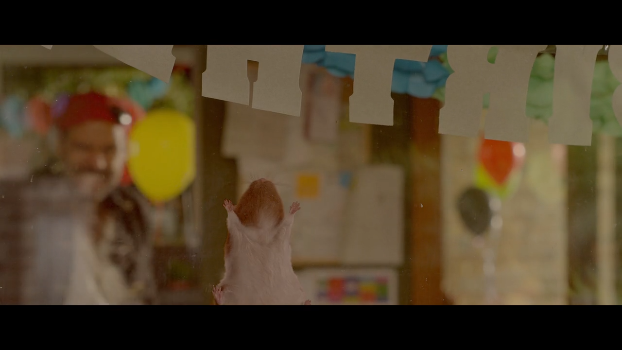 要爸还是妈剧照的剧照