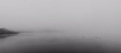 伊莉莎与玛瑟拉剧照的剧照