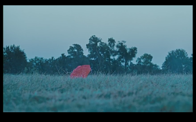 埃尔维斯与安娜贝尔剧照的剧照