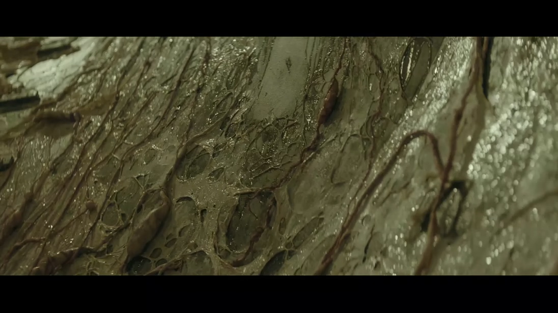 终点站剧照的剧照