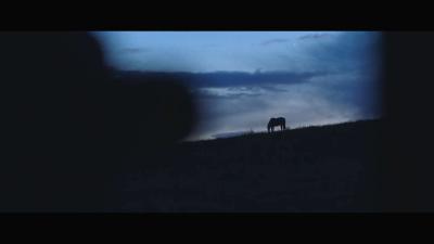 骑士剧照的剧照