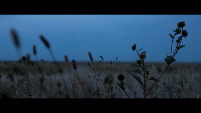 骑士剧照的剧照