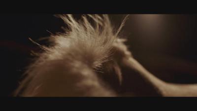 骑士剧照的剧照