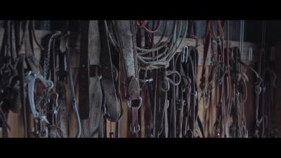 骑士剧照的剧照