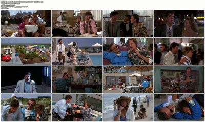 老板渡假去剧照的剧照