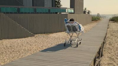 老板渡假去剧照的剧照