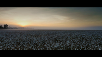 一个国家的诞生剧照的剧照