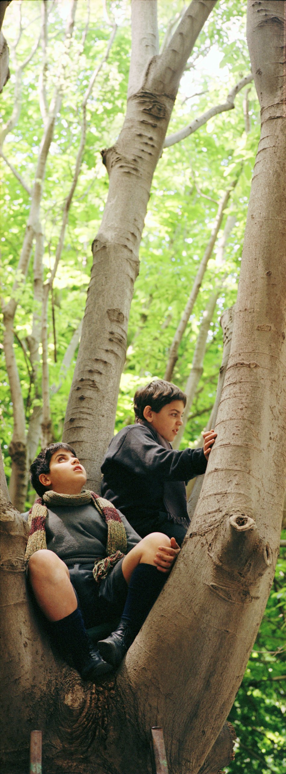 听见天堂剧照的剧照