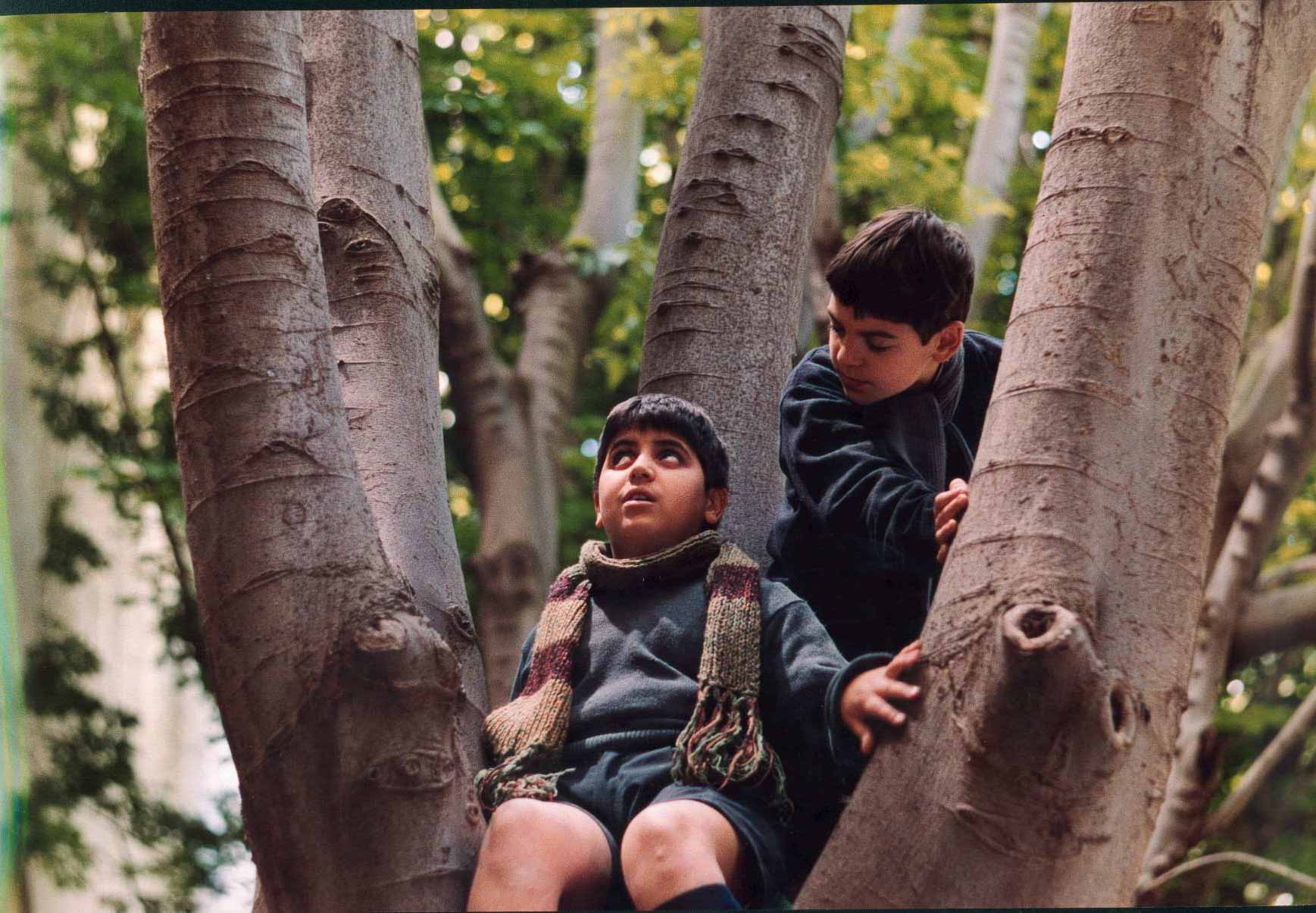 听见天堂剧照的剧照