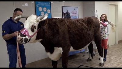 完美音调3剧照的剧照