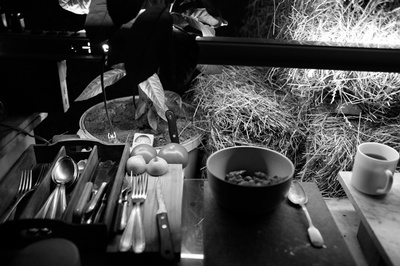 叛国者剧照的剧照