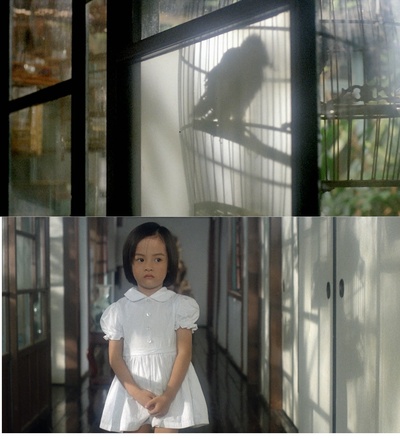 海滩的一天剧照的剧照