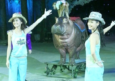 双子神偷剧照的剧照