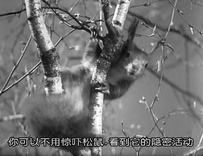 游戏规则剧照的剧照