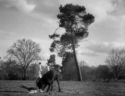 游戏规则剧照的剧照